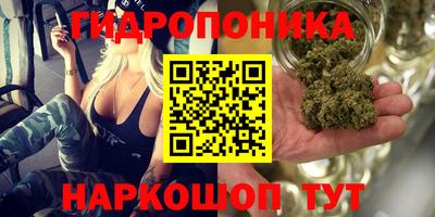 ГАЛЛЮЦИНОГЕННЫЕ ГРИБЫ Ипатово