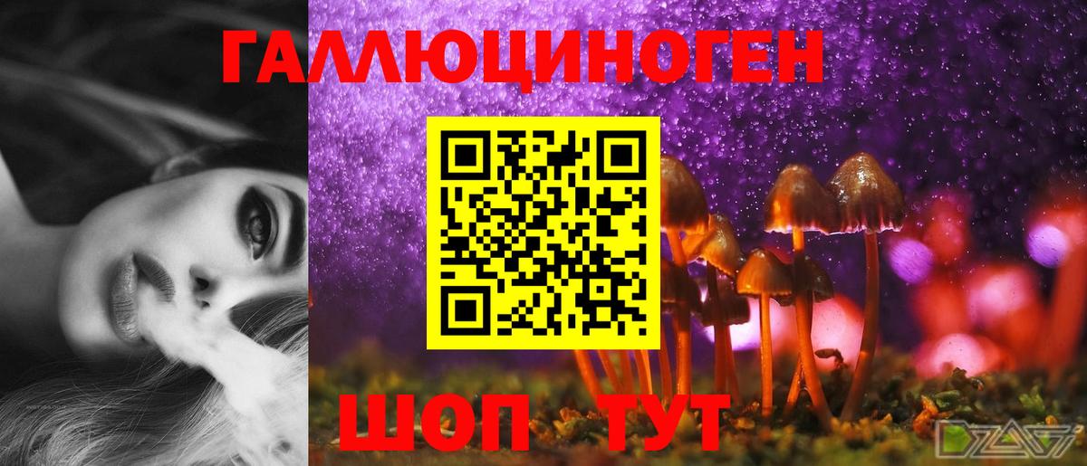 где продают наркотики  Галлюциногенные грибы Psilocybine cubensis  Вход с VPN  Кондопога 